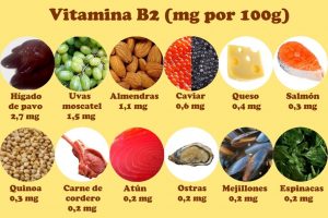 alimentos ricos en vitamina B12